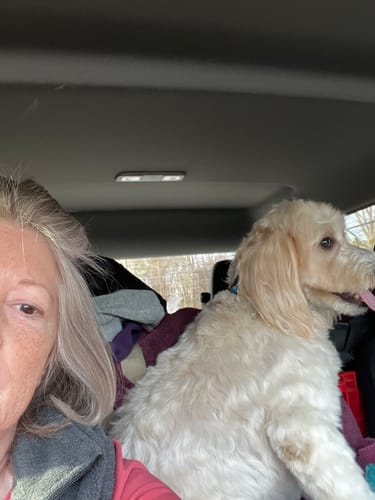 Colleen C. review of Bark-Less Bites image 1 out of 1