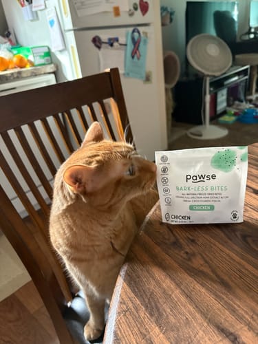 Tiffany W. review of Bark-Less Bites image 1 out of 1