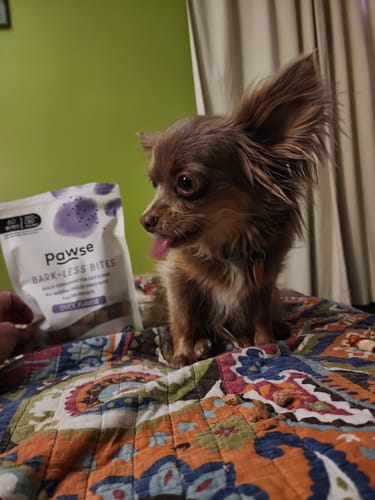 Jacqueline W. review of Bark-Less Bites image 1 out of 2