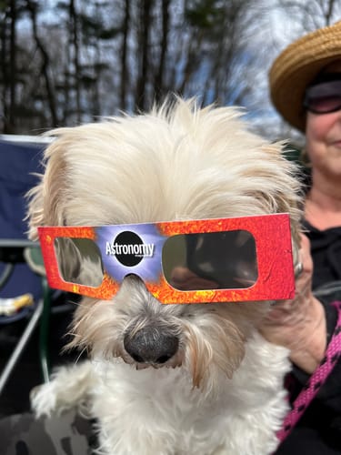Linda W. review of Bark-Less Bites image 1 out of 1