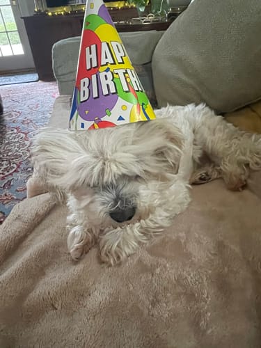 Linda W. review of Bark-Less Bites image 1 out of 1