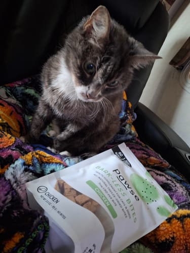 Jessica P. review of Bark-Less Bites image 1 out of 1