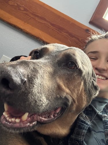 Sarah P. review of Bark-Less Bites image 1 out of 1